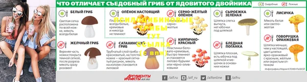 СК Алзамай