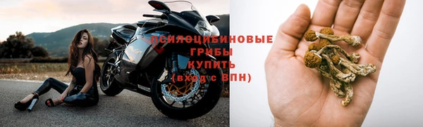 PSILOCYBIN Алексеевка