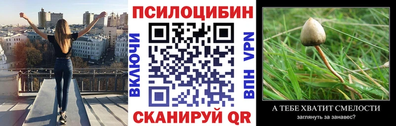 где продают наркотики  Константиновск  Галлюциногенные грибы GOLDEN TEACHER 