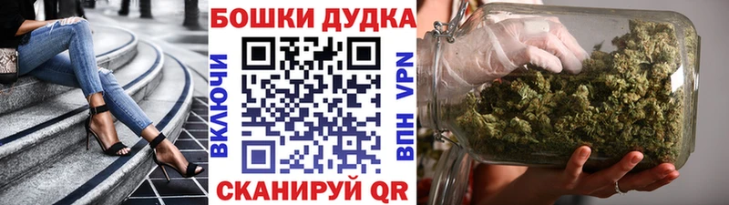 Каннабис планчик Константиновск